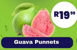 Guava Punnets