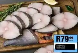 Take 'n Pay Fresh Grey Steenbrass offer