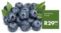 Save Blue Berries Punnet offer