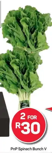 Pick n Pay Hypermarket PnP Spinach Bunch offer