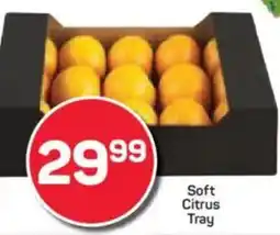 Soft Citrus Tray