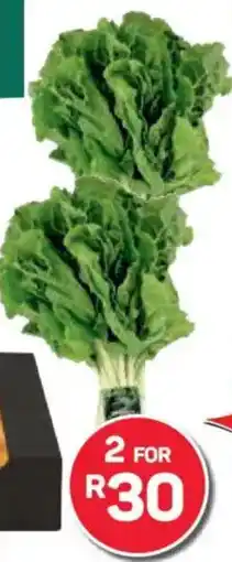 Pick n Pay PnP Spinach Bunch V offer