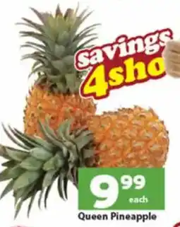 Queen Pineapple