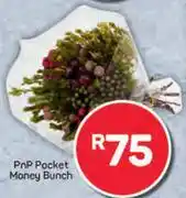 Pick n Pay PnP Pocket Money Bunch offer