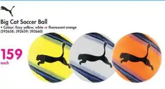 Makro Big Cat Soccer Ball offer