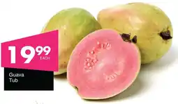 Guava Tub