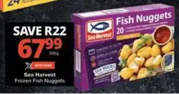 Checkers Hyper Sea Harvest Frozen Fish Nuggets offer