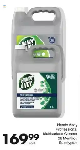 Save Handy Andy Proffessional Multisurface Cleaner Menthol/ Eucalyptus offer
