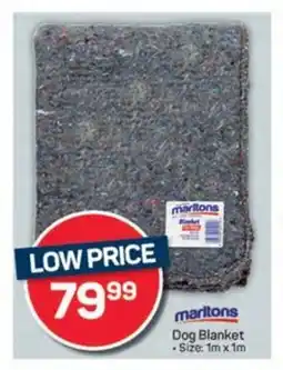 Pick n Pay Marltons Dog Blanket offer