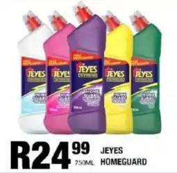 Take 'n Pay Jeyes homeguard offer