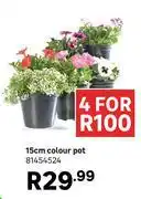Leroy Merlin 15cm Colour Pot 81454524-For 4 offer