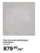 Leroy Merlin Ceramic Lethabo Grey Floor Tile 81484011 430mm x 430mm-Per m² offer