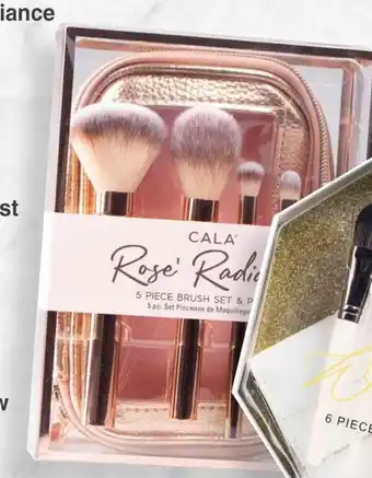 Dis-Chem Cala Rose Radiance Brush Set PLUS Pouch 5-Piece offer