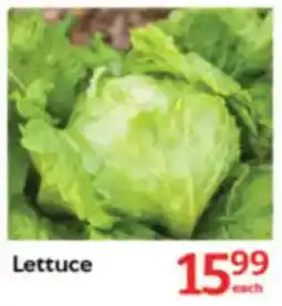 Oxford Freshmarket Lettuce offer
