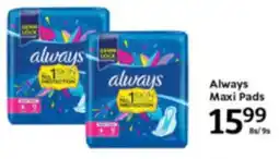 Oxford Freshmarket Always Maxi Pads offer