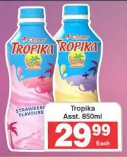 Frontline Clover Tropika Asst. offer