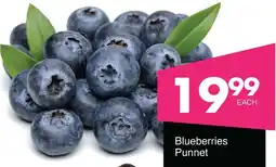 Save Hyper Blueberries Punnet offer