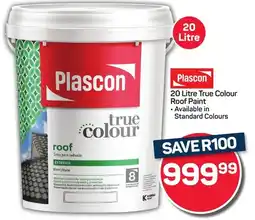 Pick n Pay Hypermarket Plascon True Colour Roof Paint offer
