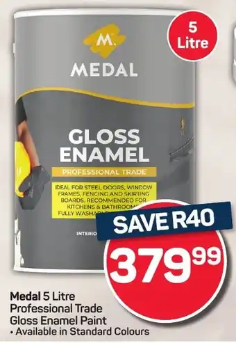 Pick n Pay Hypermarket Medal Professional Trade Gloss Enamel Paint offer