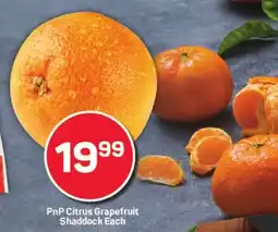 Pick n Pay Hypermarket PnP Citrus Grapefruit Shaddock Each offer