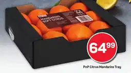 Pick n Pay Hypermarket PnP Citrus Mandarins Tray offer
