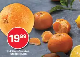 Pick n Pay PnP Citrus Grapefruit Shaddock Each offer
