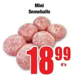 Boxer Mini Snowballs offer