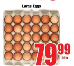 Boxer Large Eggs offer