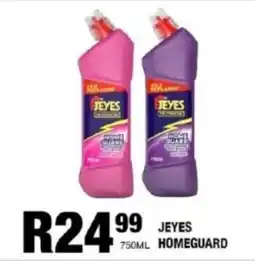 Take 'n Pay Jeyes homeguard offer