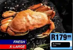 Take 'n Pay XL Orange Crab offer