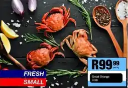 Take 'n Pay Small Orange Crab offer