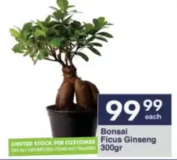 President Hyper Bonsai Ficus Ginseng 300gr offer