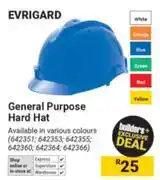 Builders Warehouse Evrigard General Purpose Hard Hat offer