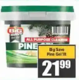 Big Save Big Save Pine Gel offer