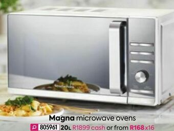 Magna microwave oven