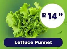 Lettuce Punnet