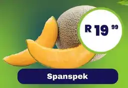 Spanspek