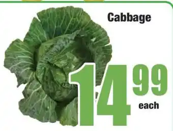 Boxer Cabbage offer