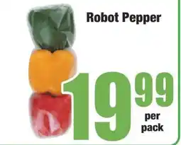 Boxer Robot Pepper offer