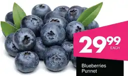 Blueberries Punnet
