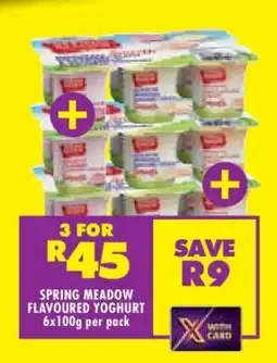 Shoprite SPRING MEADOW FLAVOURED YOGHURT 6x100g per pack offer