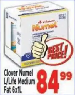 Supa Store Clover Numel L/Life Medium Fat offer