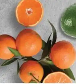 OK Foods Soft Citrus offer