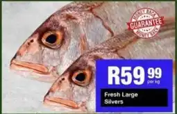 Take 'n Pay Fresh Large Silvers offer