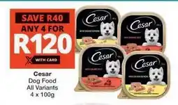 Checkers Cesar Dog Food offer