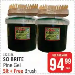 KitKat Cash and Carry SO BRITE Pine Gel offer