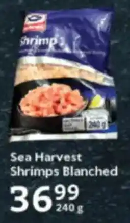 Sea Harvest Shrimps Blanched