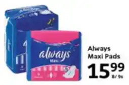 Oxford Freshmarket Always Maxi Pads offer