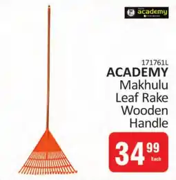 KitKat Cash and Carry ACADEMY Makhulu Leaf Rake Wooden Handle offer