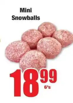 Boxer Mini Snowballs offer